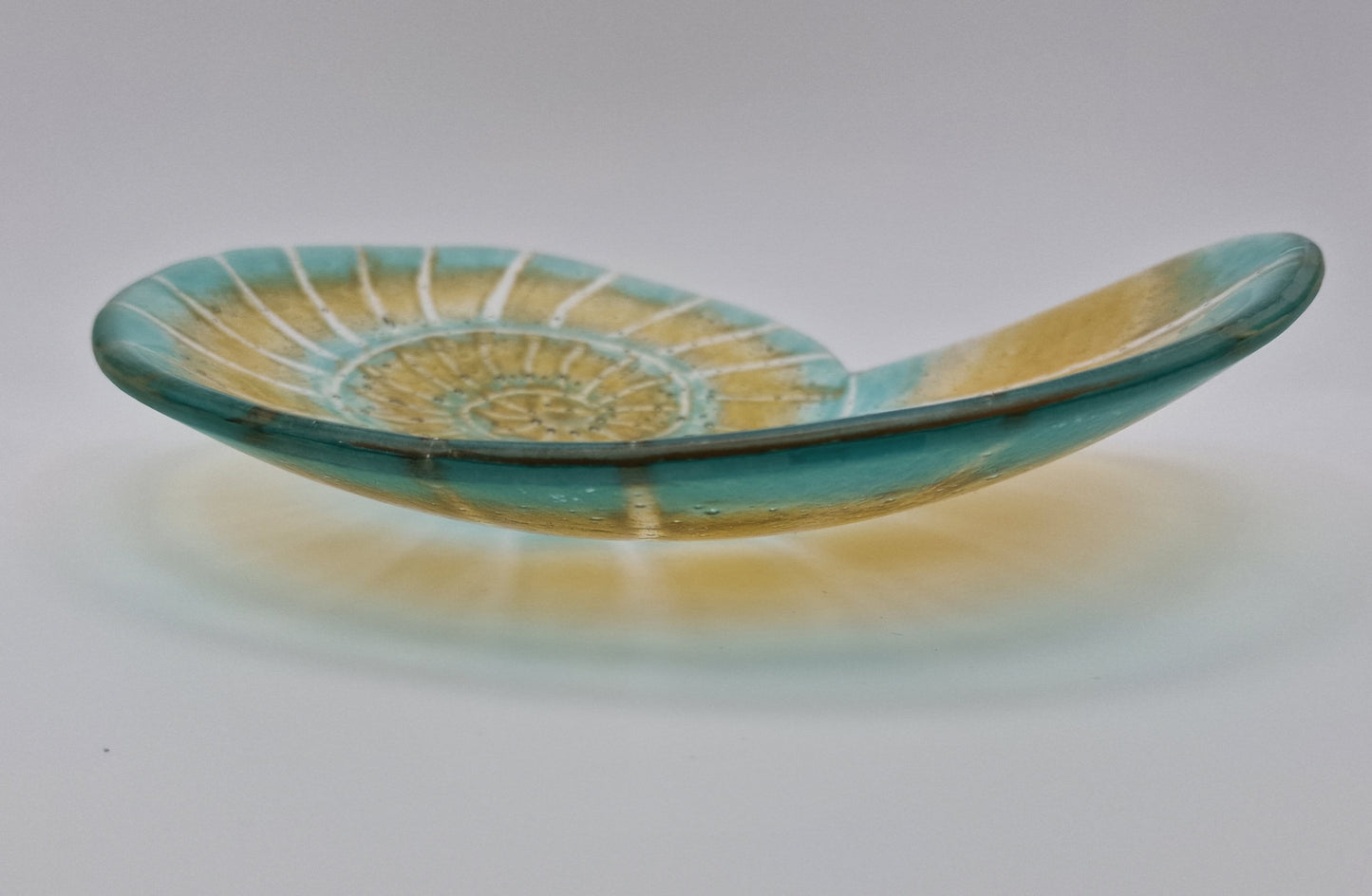 Ammonite Fused Glass Dish