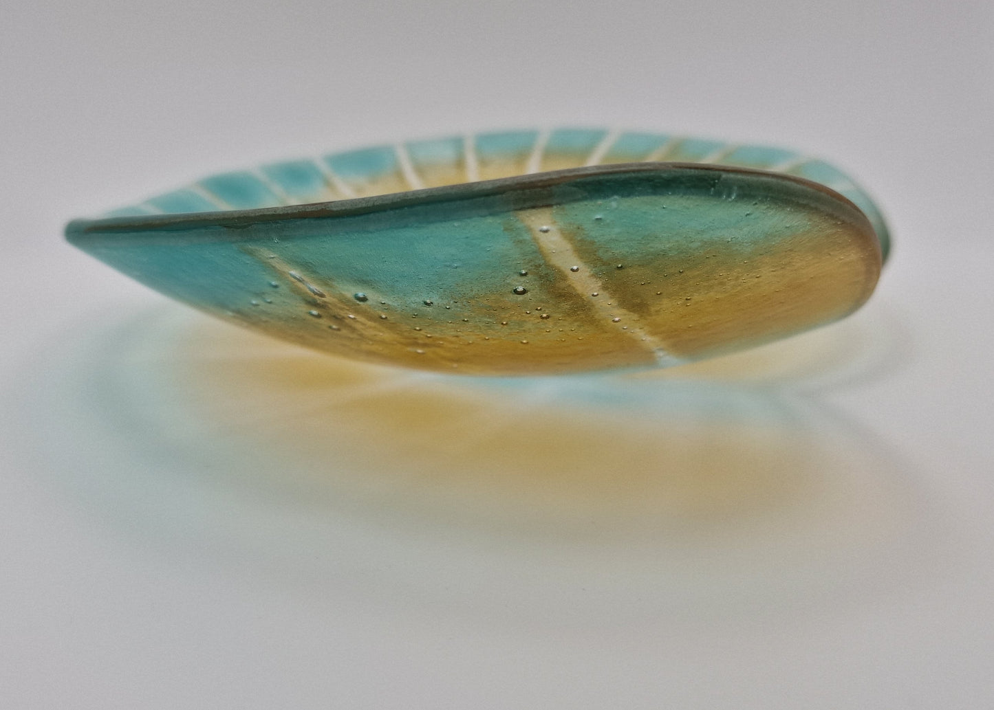 Ammonite Fused Glass Dish