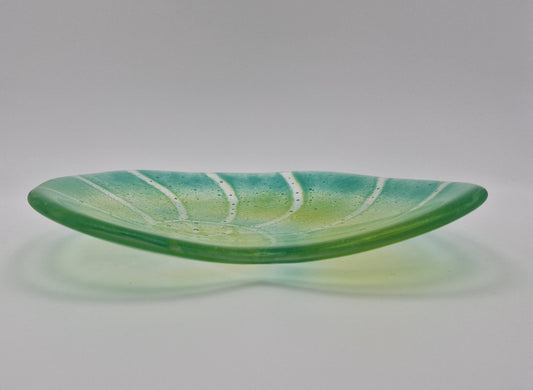 Ammonite fused glass dish in sea blues